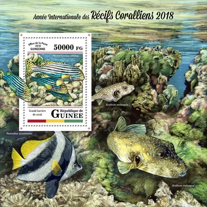 фото, Гвинея -Рыбы-2018.Чистый полный комплект.MNH.