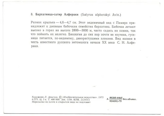 Бабочки Інтернет-аукціон