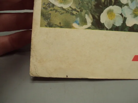 Открытка С праздником 8 марта цветы фото и худ. оформление И. Дергилев ред. Рязанцев 1968 год №17831 Де купити