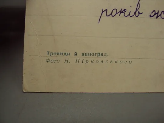 Открытка цветы розы и виноград фото Н. Пирковского 1969 год №18028 Продаж