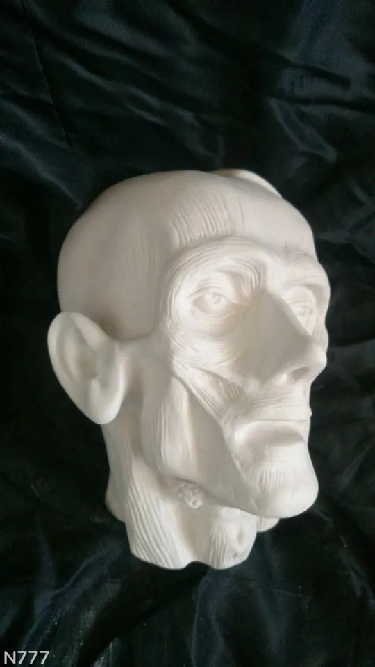 Купити Голова гіпсова екорше