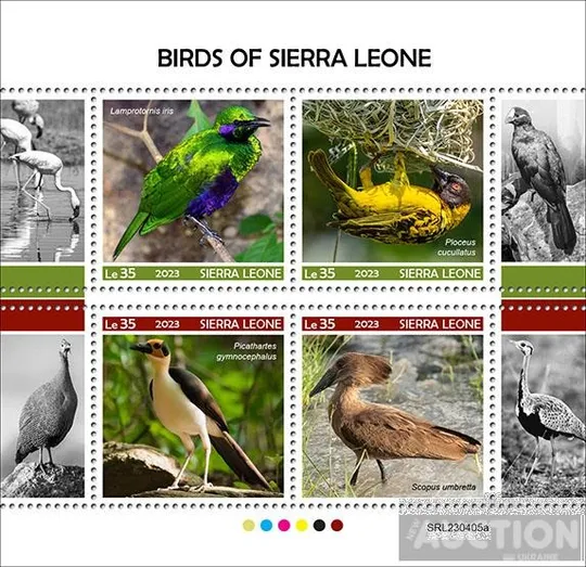 Сьерра Леоне - Птицы -2023. Чистый полный красивый комплект. MNH. З аукціону