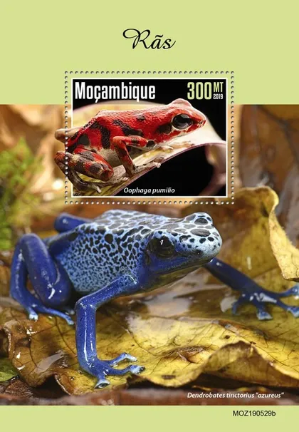 фото, Мозамбик-Лягушки-2019.Чистый полный красивый комплект.MNH.