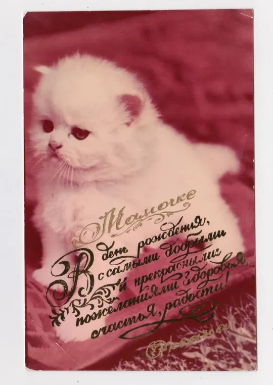 КОТ - КОТЕНОК = начало 1990-х гг. - КООПЕРАТИВ = п/п # Ціна