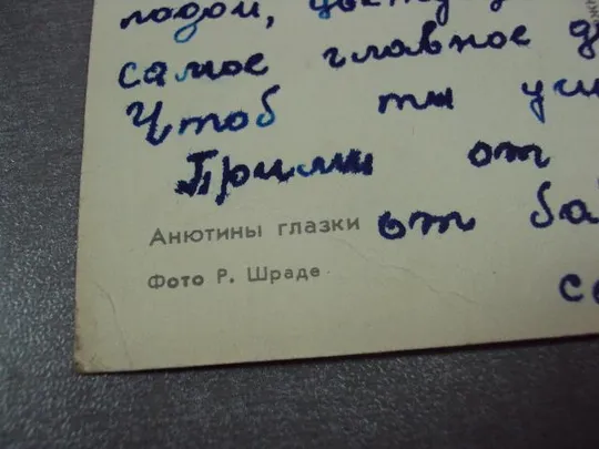 открытка поздравляю анютины глазки 1965 шраде №10933 Продаж