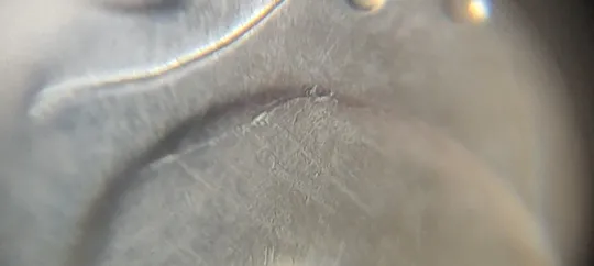 (1031) 25 копійок 2015 браки на аверсі та реверсі (див.опис) (25 копеек 2015) Де купити