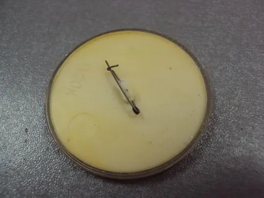 знак детский когда меня полюбят дети баба-яга №4661 З аукціону