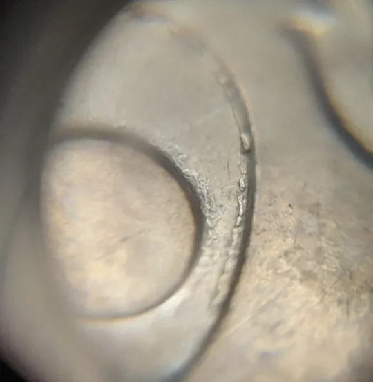 Купити (6831) 10 копійок 2019 гарні викрошки на реверсі на "0" номіналу (10 копеек 2019 брак)