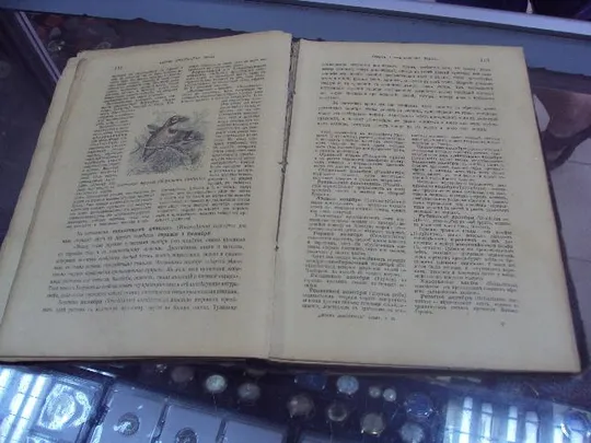 книга брэм жизнь животных т.2 птицы №19 Де купити