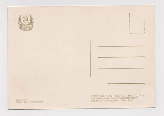 Купити КАЛИНА = 1963 г. = ИГНАТОВИЧ = чистая #