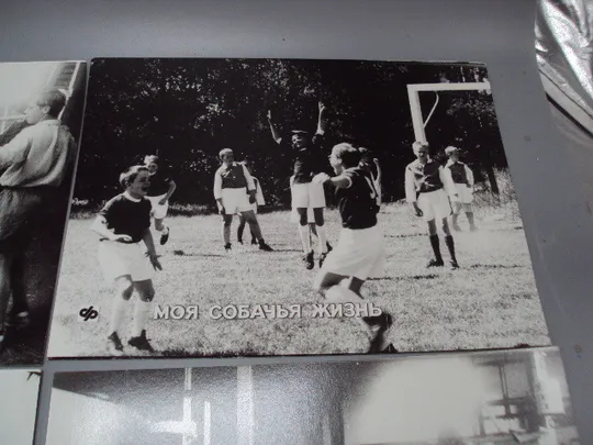 Кадр из фильма Моя собачья жизнь 1, 2, 3, 4, 5, 6 - 92 фотография 23,7х18,3 см лот 6 шт №18352МЯ Недорого