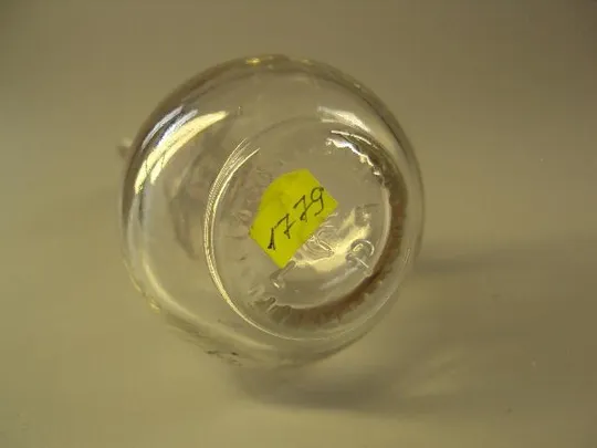 Бутылка бутылочка стекло с фарфоровой пробкой высота 12,5 см, с пробкой 13,6 см (№ 1779) Інтернет-аукціон