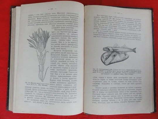 Популярні біологічні нариси. В. Шимкевич. 1898р. Торговий майданчик