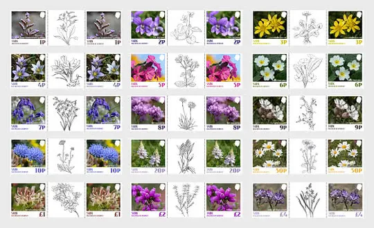 Остров САРК (Великобритания - Юрисдикция Гернси)-Дикие цветы-2025. Чистый полный комплект.MNH. Ціна