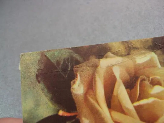 открытка розы федорова 1958 №12472 З аукціону