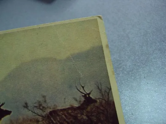 Купити открытка тугайные олени 1958 гиппенрейтера №11035