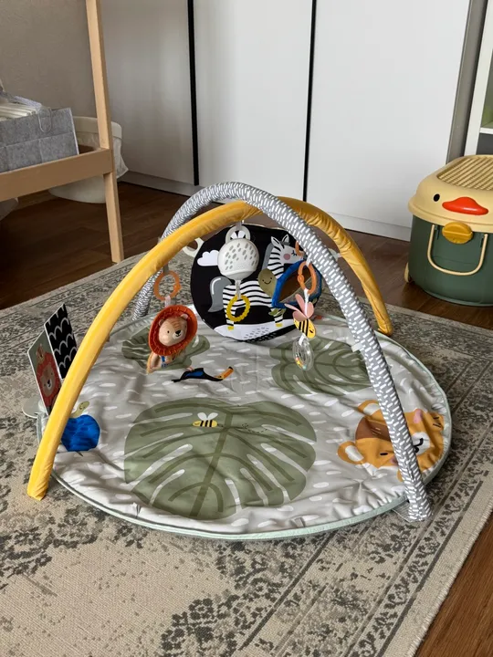 Розвиваючий музичний килимок Taf Toys Ціна