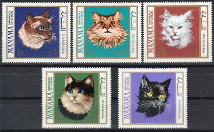 фото, Манама Фауна Кошки 1968