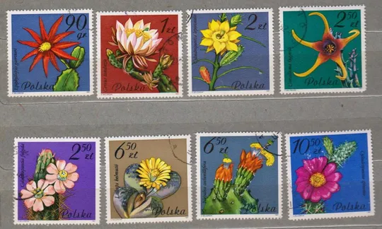 ЦВЕТЫ - КАКТУСЫ - ФЛОРА = 1981 г. = ПОЛЬША = гаш. # Ціна