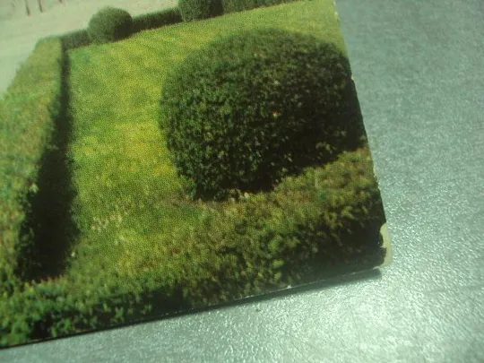 открытка львов холм славы шамшина 1974 №1194 Продаж