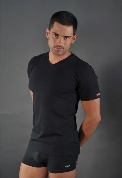 фото, Футболка чоловіча Lans 12/005 з V-подібним вирізом бавовна чорна 2XL