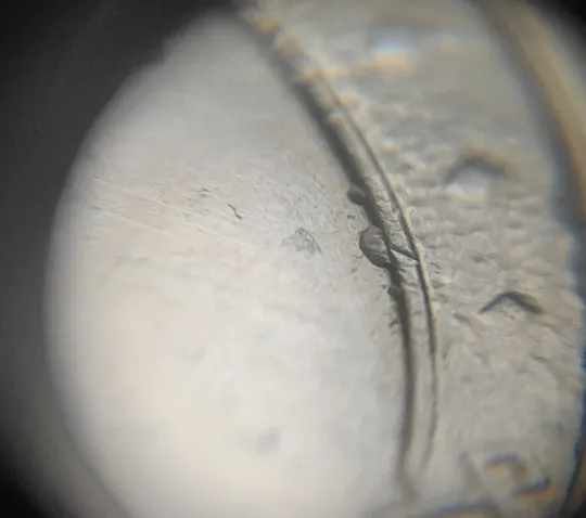 (8236) 1 гривня 2021 викрошки на аверсі (1 гривна 2021 брак) Продаж