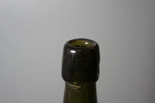 Купити бутылка пивная pipa pippig with paatz wurzen высота 26 см (№ 1102)