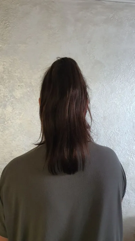 Короткий хвіст каштановий на крабі Р-08 Ціна