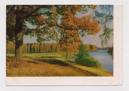фото, ПОДМОСКОВЬЕ = 1963 г. = фото Г.САМСОНОВ = чистая &