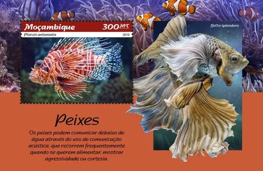 Купити Мозамбик-Рыбы-2019.Чистый полный красивый комплект.MNH.