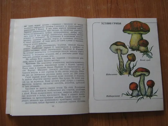 Лісова скринька. Інтернет-аукціон
