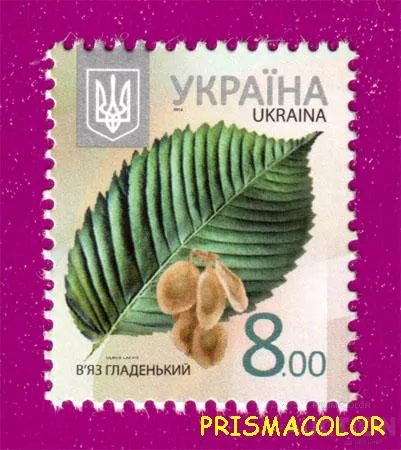 фото, ** УКРАИНА 2012 N1177 марка 8-ой Стандарт 8,00 Вяз Флора