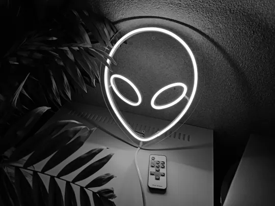 Неоновий світильник Прибулець 240х295 acr-n000003 Інтернет-аукціон