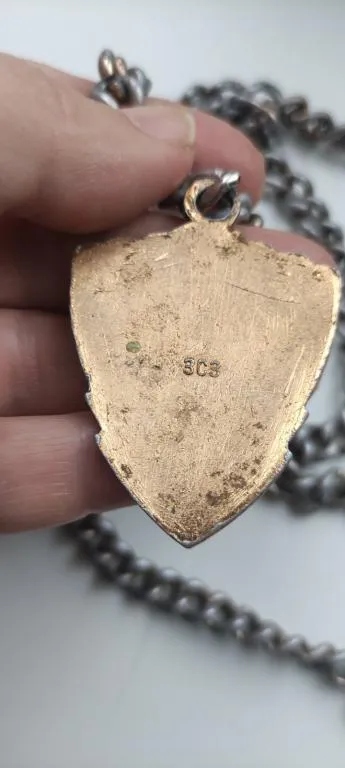 Медали на собаку на толстой цепи, 1970-е годы СССР , федерация служебного собаководства kd264 З аукціону