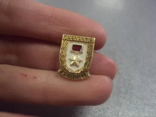 Купити знак брест крепость лот 2 шт  №2605