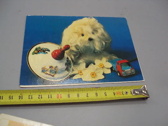 Открытка С днем рождения! игрушки собачка машинка цветы 1981 фото Ч. Сайфи ред. А. Лучинина №17941 Ціна