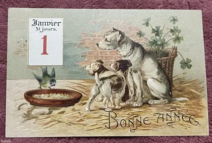 фото, Поштова листівка 1900-1960