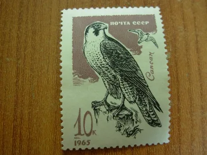 фото, 1965.ссср.