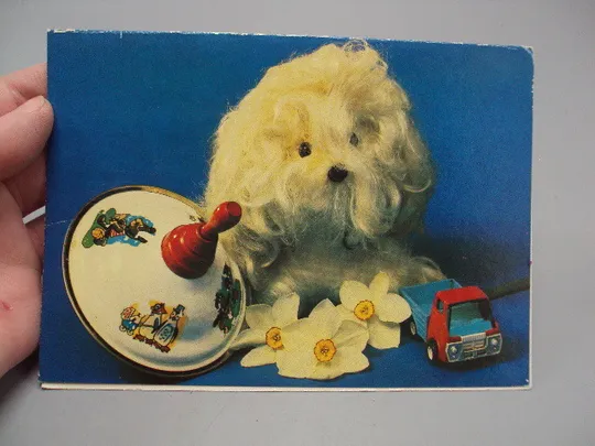 Купити Открытка С днем рождения! игрушки собачка машинка цветы 1981 фото Ч. Сайфи ред. А. Лучинина №17941