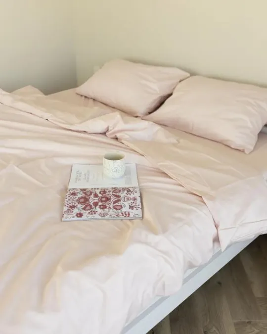 Постельное белье полуторное Dushka Home Сатин Люкс 20936 160х215 см бледно персиковое Ціна