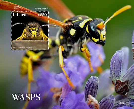 Либерия-Осы-2022. Чистый полный красивый комплект. MNH. Ціна