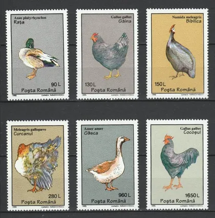 фото, Румыния Фауна Птицы 1995