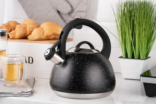 Купити Чайник со свистком Ardesto Gemini AR-1957-KS 2.5 л черный