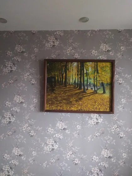 фото, Картина