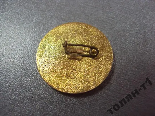 знак тында 60 лет советской власти №11353 Продаж