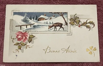 фото, Поштова листівка 1900-1960