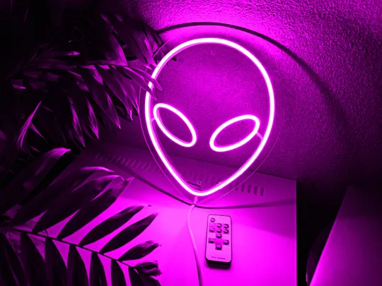 Неоновий світильник Прибулець 240х295 acr-n000003 в Україні