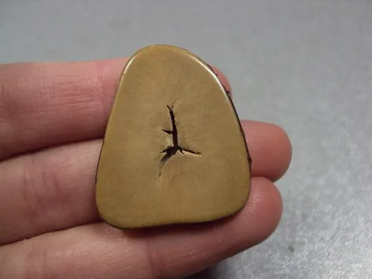 Камень бусина яшма или дерево для ювелирных изделий вес 3,04 г размер 4,5 х 29 х 19 х 24,5 мм №13287 Інтернет-аукціон