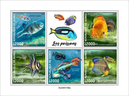 фото, Гвинея-Рыбы-2024.Чистый полный красивый комплект.MNH.