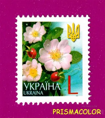 фото, ** УКРАИНА 2005 N695 марка 6-ой Стандарт Цветы ЛИТЕРА L